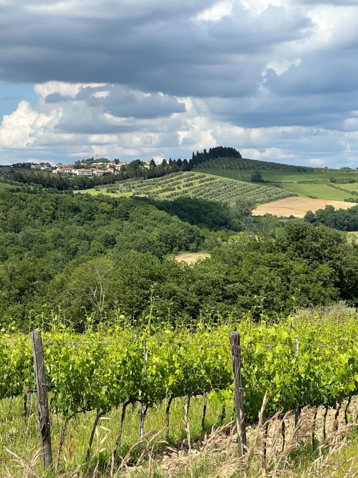 Agriturismo Fattoria Sant'Appiano Barberino Val d'Elsa Luaran gambar